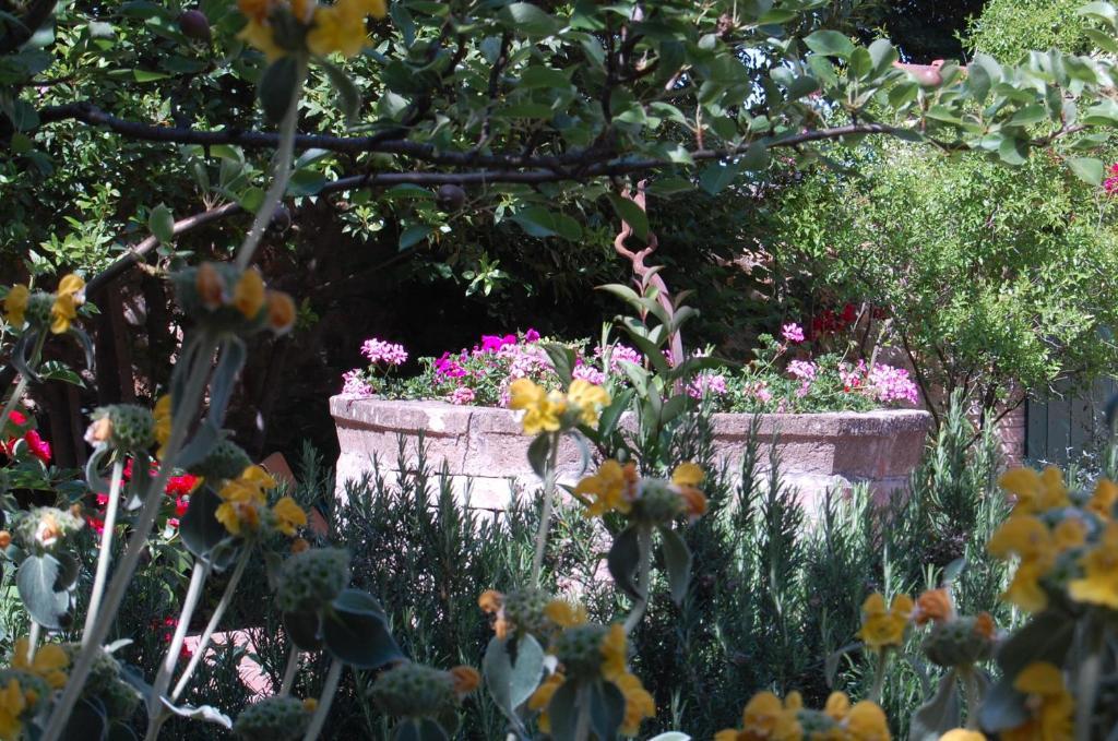 Il Giardino Segreto Ξενοδοχείο Πιέντσα Εξωτερικό φωτογραφία